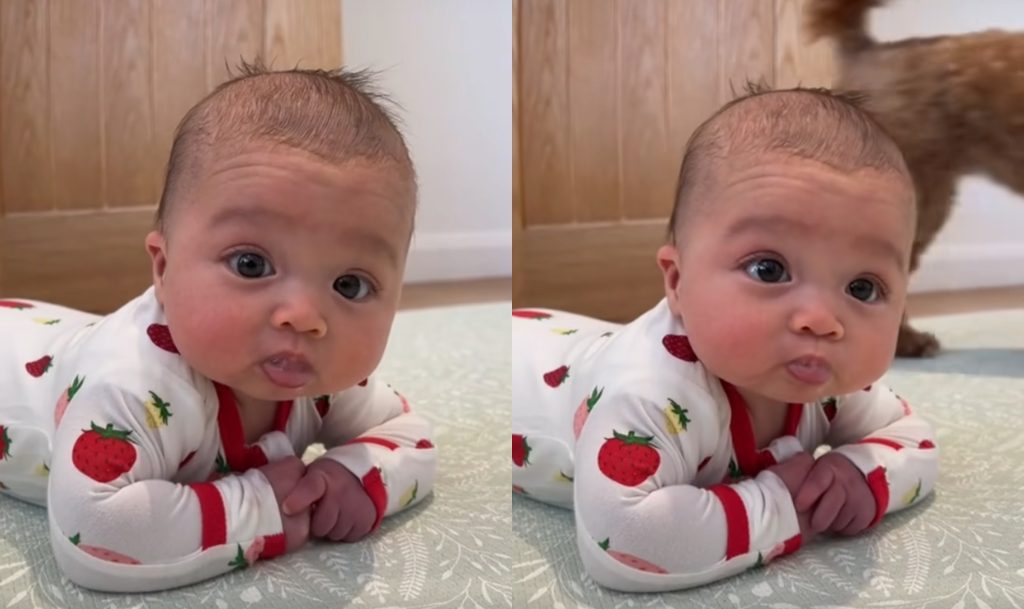 Little Bundle of Joy How a Newborn Baby Girl Can Brighten Your Day